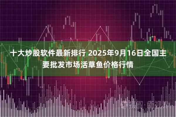 十大炒股软件最新排行 2025年9月16日全国主要批发市场活草鱼价格行情